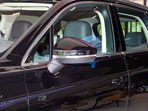 2025�� 2.0TSI ��Ӱ��