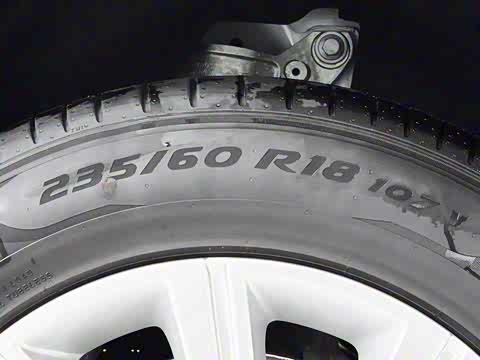 2024�� �ഺ�˶��� R-DYNAMIC