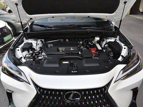 2025�� 260 ǰ�� �ر��