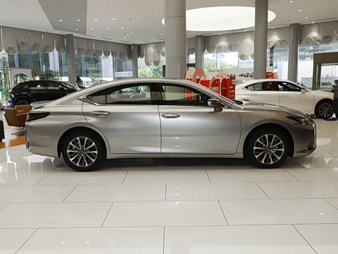 2025�� 300h ������