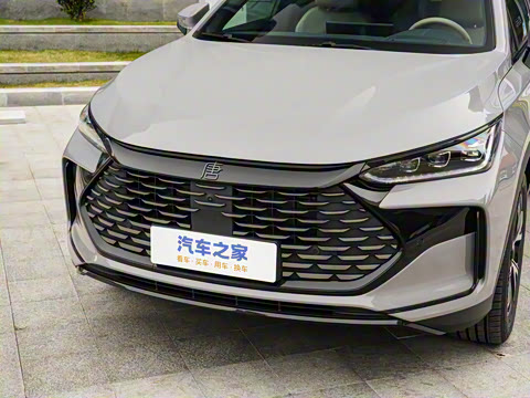 2025�� DM-i 115KM �����콢��