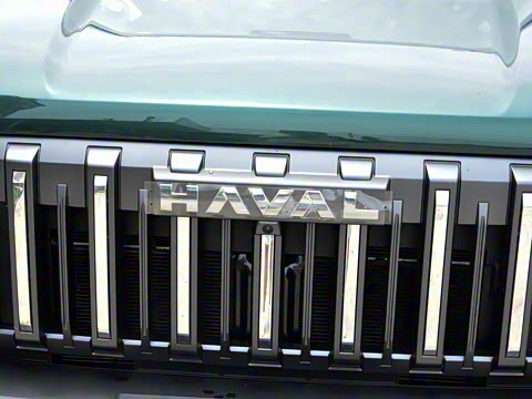 2025�� 2.0T 4WD Pro