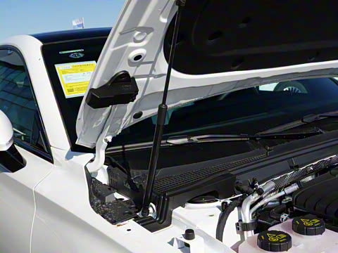 2025�� 1.5T 300 DCT���Ű�