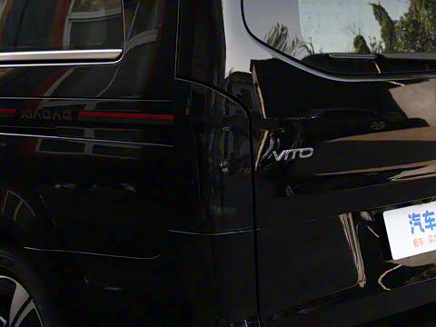 2025�� �������Ȱ�