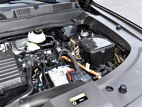 2025�� 220km ����������