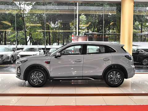 2025�� 2.0T ��������Pro��