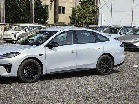 2025�� 520������