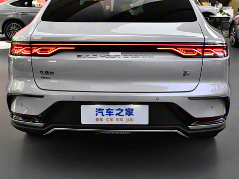 2024�� DM-i ��ҫ�� 121KM ������