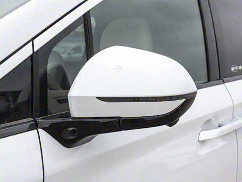 2025�� DM-i 1.5T 100km �캽��