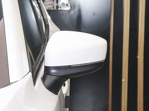 2024�� 2.0L �Զ���������Pro