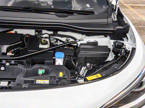 2024�� ������������