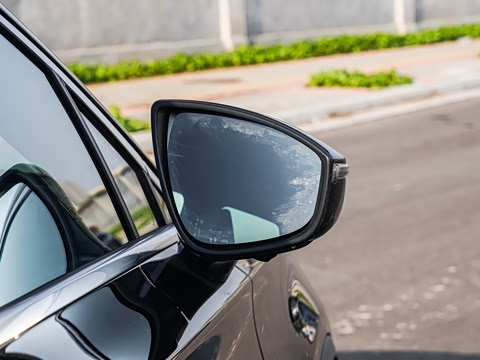 2025�� DM-i 115KM �����