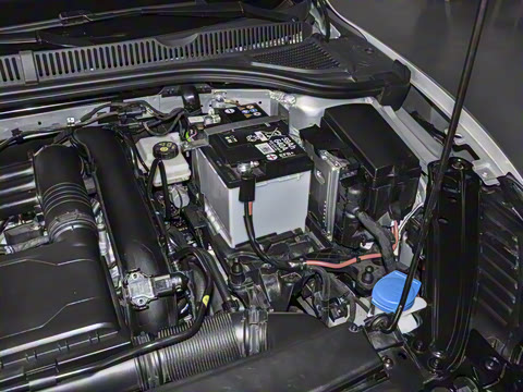 2025�� 1.4T �ȵ��ȵð�