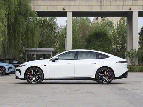 2025�� ���� 565����Max�캽��