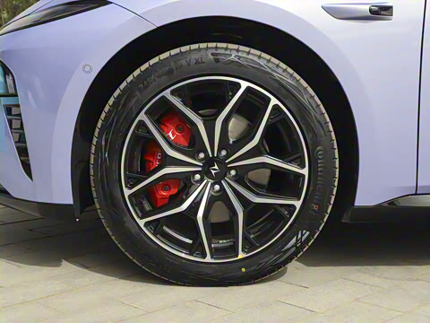 2025�� ���� 565����Max�캽��