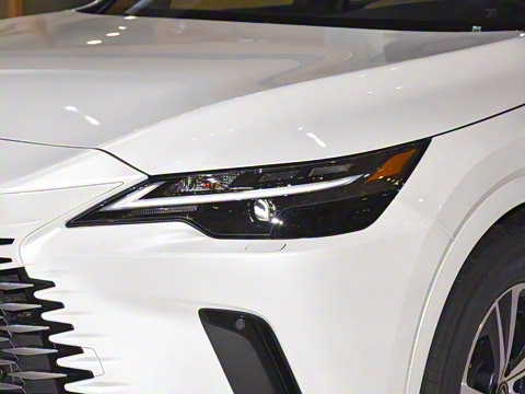 2025�� 300 ����������