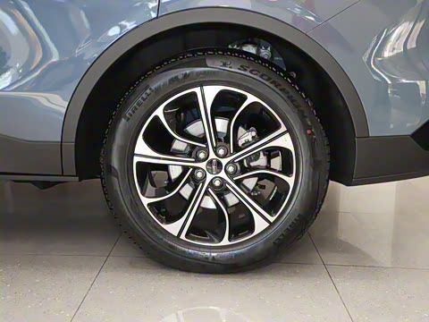 2025�� 2.0T �������ݰ�