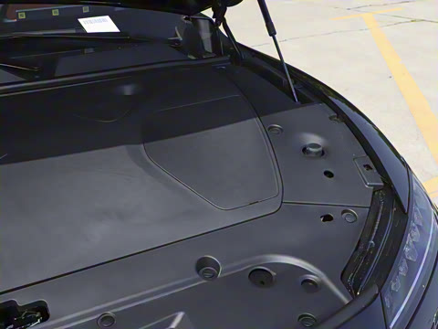 2025�� ���� 230ProѲ����