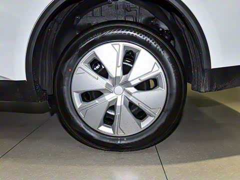 2025�� ��������