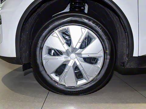 2025�� ��������