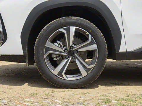 2025�� ���Ĵ� 2.0TD DCT �Ȱ�