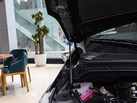 2025�� MAX 2.0T �Զ������� ���� 7��