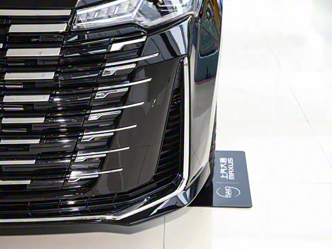 2025�� MAX 2.0T �Զ������� ���� 7��