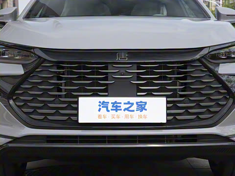 2025�� DM-i 115KM ������