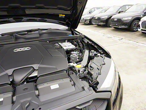 2025�� 55 TFSI quattro S line��ѩ�˶���