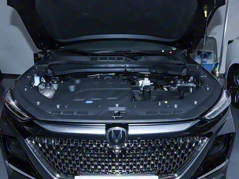 2024�� 1.5T �Զ���ҫ�� 7��