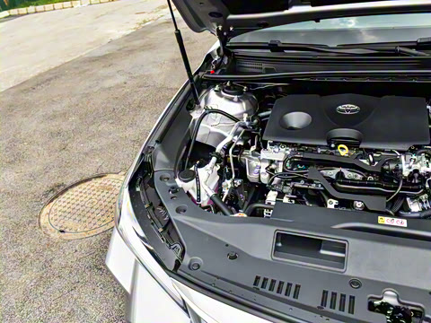 2024�� 2.0L ��ѡ��