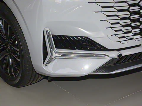 2024�� 2.0T ����������