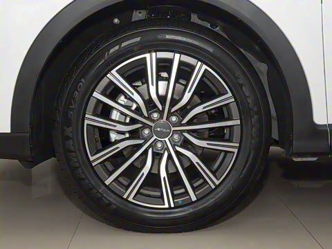 2024�� �ھ��� 1.5T DCT�ھ�MAX 5��