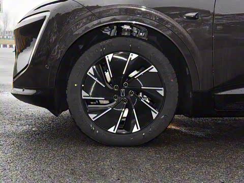 2024�� Max���������