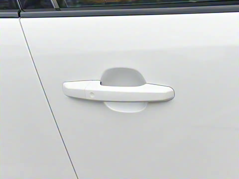 2025�� P250 R-Dynamic SE