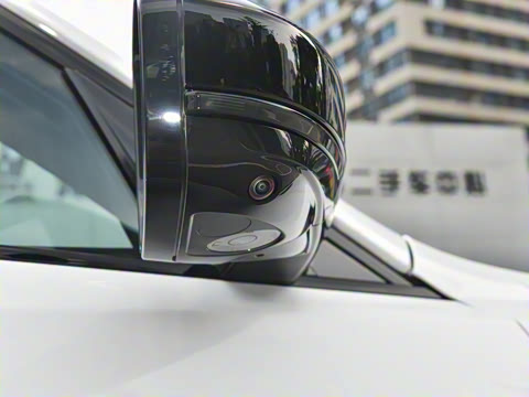 2025�� P250 R-Dynamic SE