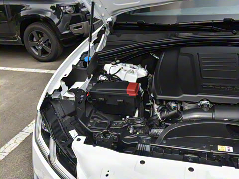 2025�� P250 R-Dynamic SE