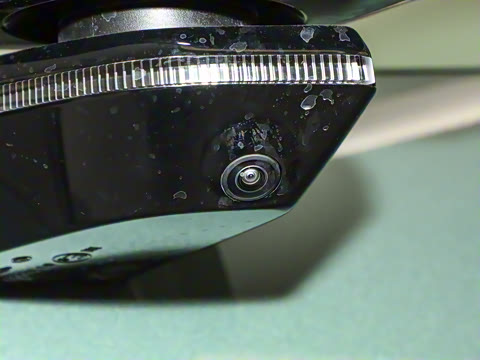 2025�� ����������