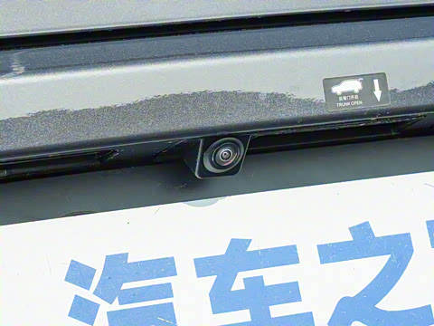 2025�� DM-i 115KM ������