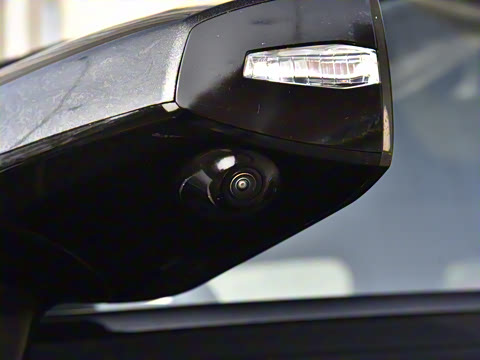 2025�� �����˶���