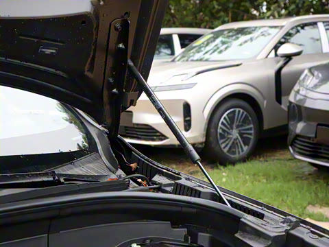 2025�� B5 �������ݺ�����