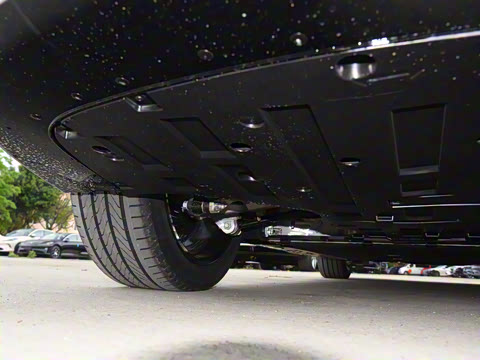 2025�� Max�����