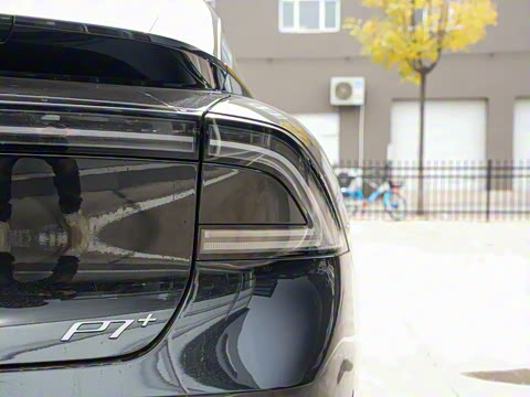 2024�� ������ Max