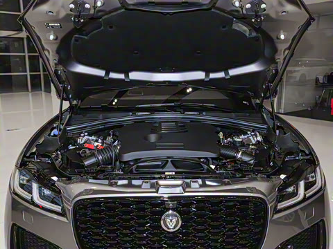 2025�� P400 SPORT