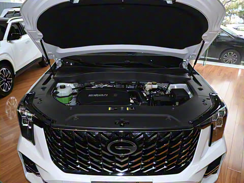 2025�� �캽ϵ�� 2.0TGDI ���������� 5��