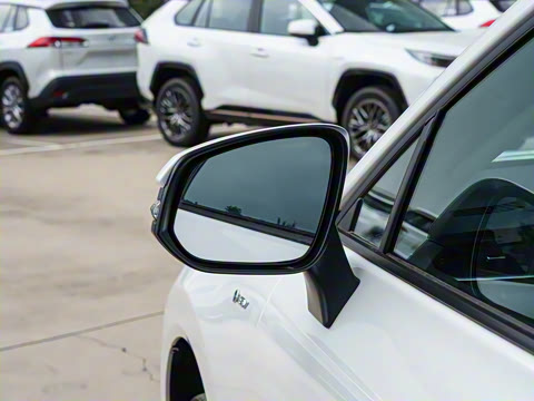 2024�� 2.5L���ܵ��˫�� ����������