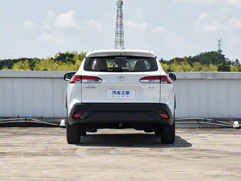 2024�� 2.0L ���ܵ��˫�� ���Ȱ�