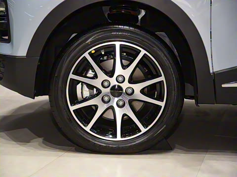 2023�� 300 �����