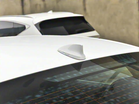 2024�� 2.5T ����������