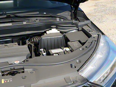 2023�� PLUS 1.5T DCT��Ӣ������